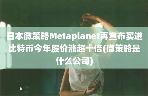 日本微策略Metaplanet再宣布买进比特币今年股价涨超十倍(微策略是什么公司)