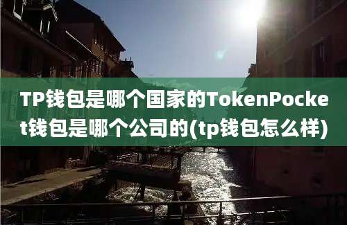 TP钱包是哪个国家的TokenPocket钱包是哪个公司的(tp钱包怎么样)