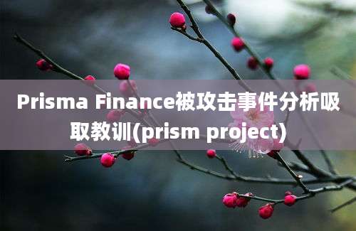 Prisma Finance被攻击事件分析吸取教训(prism project)