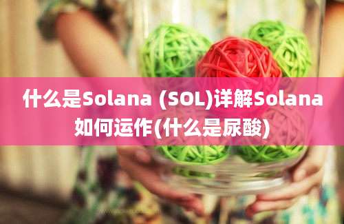 什么是Solana (SOL)详解Solana如何运作(什么是尿酸)