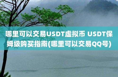 哪里可以交易USDT虚拟币 USDT保姆级购买指南(哪里可以交易QQ号)