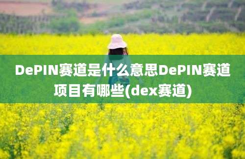 DePIN赛道是什么意思DePIN赛道项目有哪些(dex赛道)