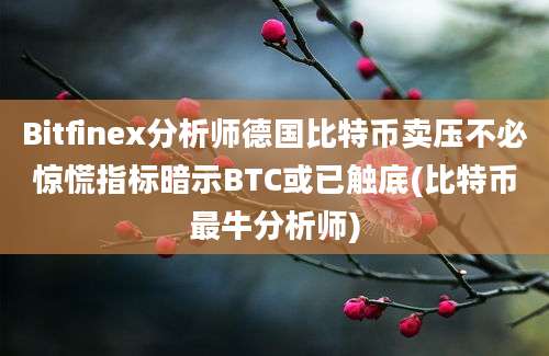 Bitfinex分析师德国比特币卖压不必惊慌指标暗示BTC或已触底(比特币最牛分析师)