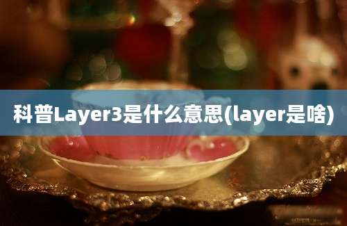 科普Layer3是什么意思(layer是啥)