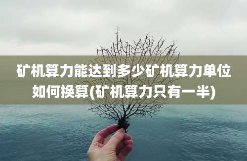 矿机算力能达到多少矿机算力单位如何换算(矿机算力只有一半)