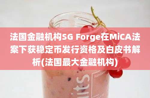 法国金融机构SG Forge在MiCA法案下获稳定币发行资格及白皮书解析(法国最大金融机构)