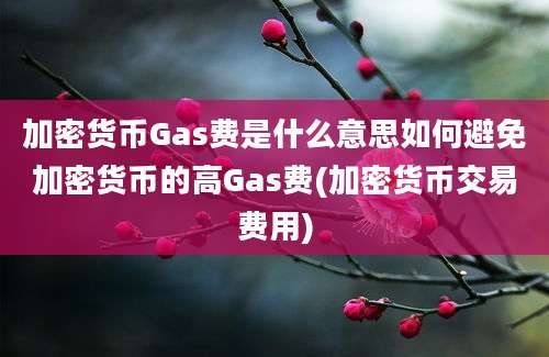 加密货币Gas费是什么意思如何避免加密货币的高Gas费(加密货币交易费用)