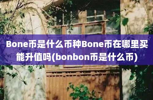 Bone币是什么币种Bone币在哪里买能升值吗(bonbon币是什么币)