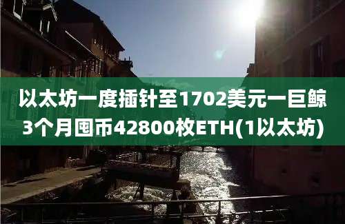 以太坊一度插针至1702美元一巨鲸3个月囤币42800枚ETH(1以太坊)