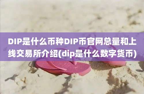 DIP是什么币种DIP币官网总量和上线交易所介绍(dip是什么数字货币)