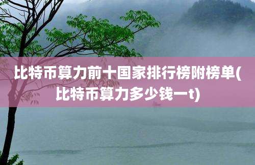 比特币算力前十国家排行榜附榜单(比特币算力多少钱一t)