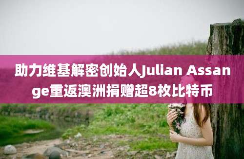 助力维基解密创始人Julian Assange重返澳洲捐赠超8枚比特币