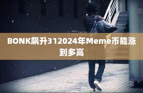 BONK飙升312024年Meme币能涨到多高