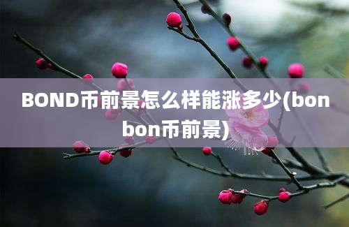 BOND币前景怎么样能涨多少(bonbon币前景)