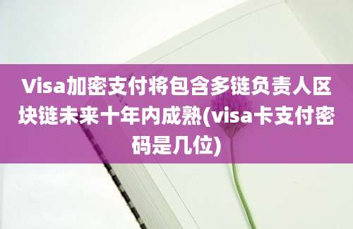 Visa加密支付将包含多链负责人区块链未来十年内成熟(visa卡支付密码是几位)