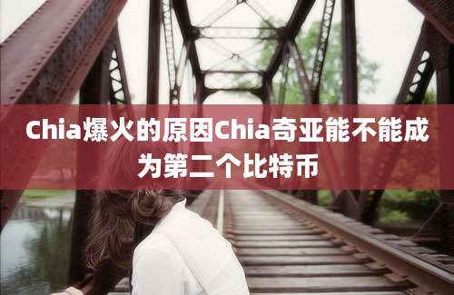 Chia爆火的原因Chia奇亚能不能成为第二个比特币