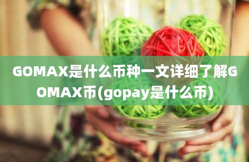 GOMAX是什么币种一文详细了解GOMAX币(gopay是什么币)