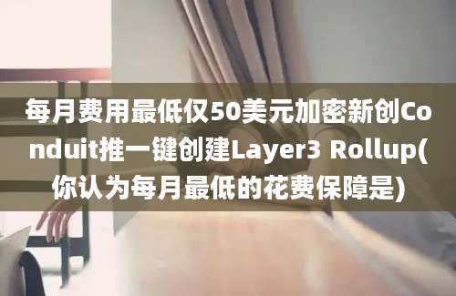 每月费用最低仅50美元加密新创Conduit推一键创建Layer3 Rollup(你认为每月最低的花费保障是)