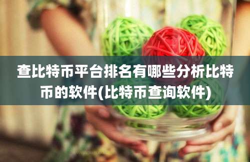 查比特币平台排名有哪些分析比特币的软件(比特币查询软件)