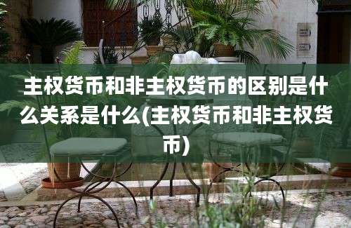 主权货币和非主权货币的区别是什么关系是什么(主权货币和非主权货币)