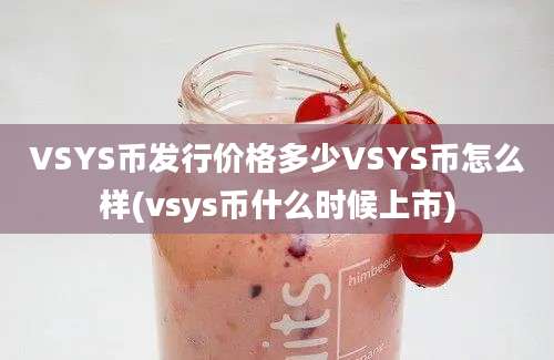 VSYS币发行价格多少VSYS币怎么样(vsys币什么时候上市)