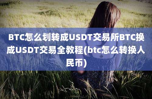 BTC怎么划转成USDT交易所BTC换成USDT交易全教程(btc怎么转换人民币)