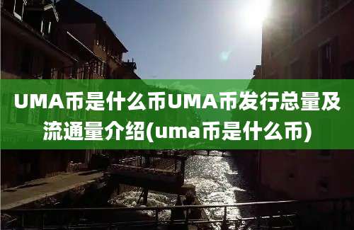 UMA币是什么币UMA币发行总量及流通量介绍(uma币是什么币)