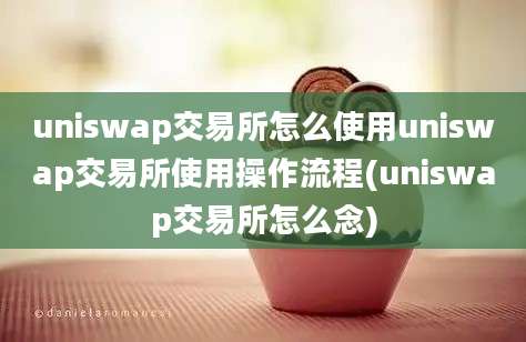 uniswap交易所怎么使用uniswap交易所使用操作流程(uniswap交易所怎么念)