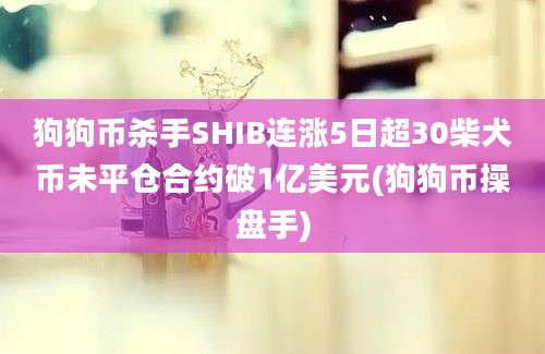 狗狗币杀手SHIB连涨5日超30柴犬币未平仓合约破1亿美元(狗狗币操盘手)