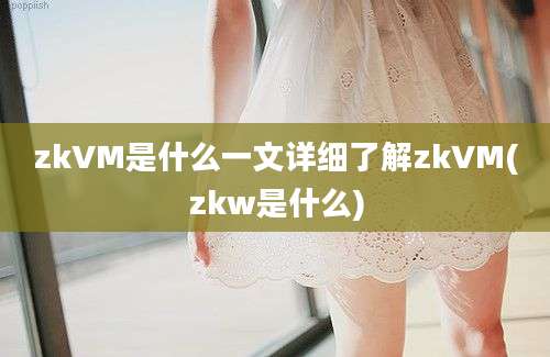 zkVM是什么一文详细了解zkVM(zkw是什么)