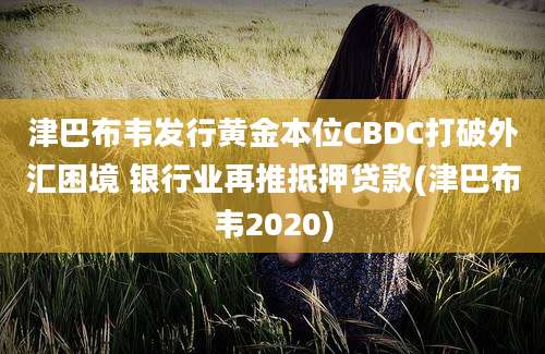 津巴布韦发行黄金本位CBDC打破外汇困境 银行业再推抵押贷款(津巴布韦2020)