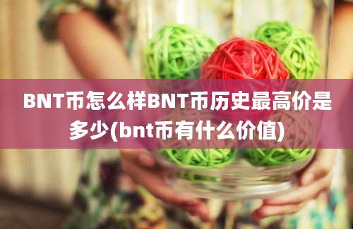 BNT币怎么样BNT币历史最高价是多少(bnt币有什么价值)