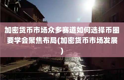 加密货币市场众多赛道如何选择币圈要学会聚焦布局(加密货币市场发展)