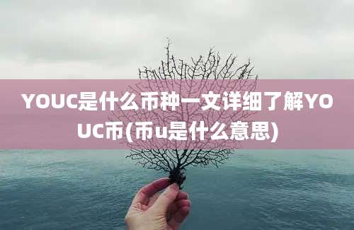 YOUC是什么币种一文详细了解YOUC币(币u是什么意思)