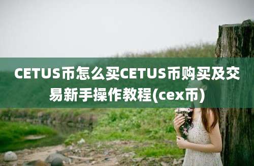 CETUS币怎么买CETUS币购买及交易新手操作教程(cex币)