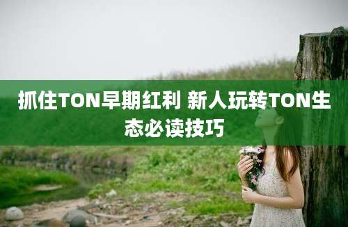 抓住TON早期红利 新人玩转TON生态必读技巧