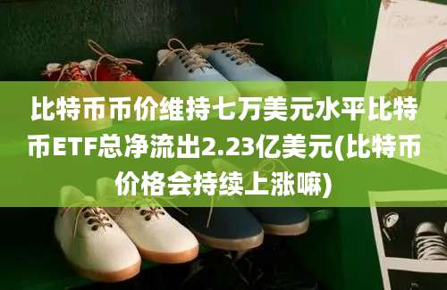 比特币币价维持七万美元水平比特币ETF总净流出2.23亿美元(比特币价格会持续上涨嘛)