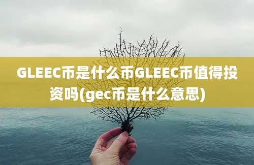 GLEEC币是什么币GLEEC币值得投资吗(gec币是什么意思)