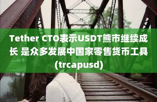 Tether CTO表示USDT熊市继续成长 是众多发展中国家零售货币工具(trcapusd)