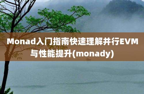 Monad入门指南快速理解并行EVM与性能提升(monady)