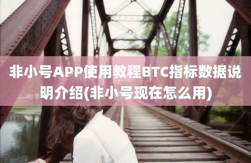 非小号APP使用教程BTC指标数据说明介绍(非小号现在怎么用)