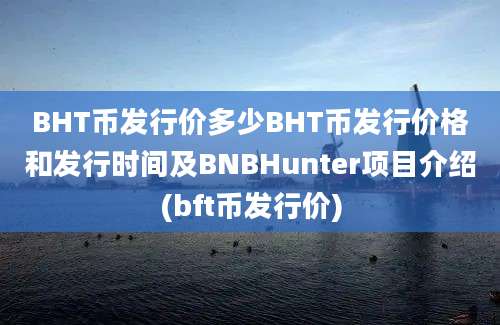 BHT币发行价多少BHT币发行价格和发行时间及BNBHunter项目介绍(bft币发行价)