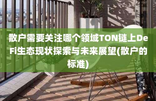 散户需要关注哪个领域TON链上DeFi生态现状探索与未来展望(散户的标准)