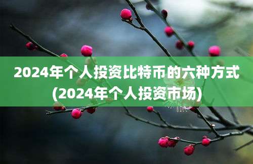 2024年个人投资比特币的六种方式(2024年个人投资市场)