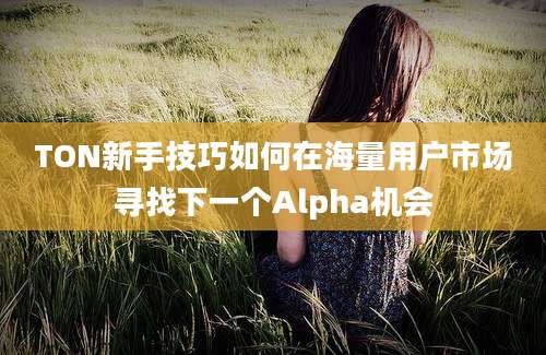 TON新手技巧如何在海量用户市场寻找下一个Alpha机会