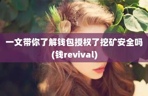 一文带你了解钱包授权了挖矿安全吗(钱revival)