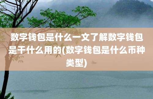 数字钱包是什么一文了解数字钱包是干什么用的(数字钱包是什么币种类型)