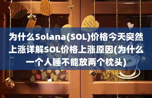 为什么Solana(SOL)价格今天突然上涨详解SOL价格上涨原因(为什么一个人睡不能放两个枕头)