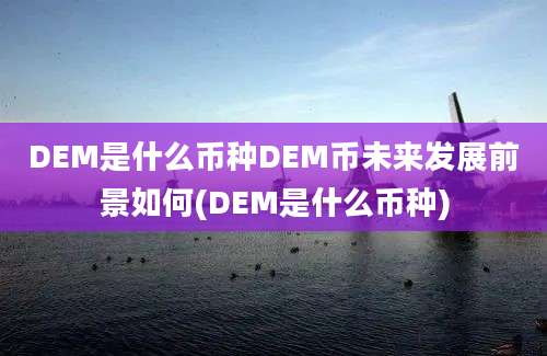 DEM是什么币种DEM币未来发展前景如何(DEM是什么币种)