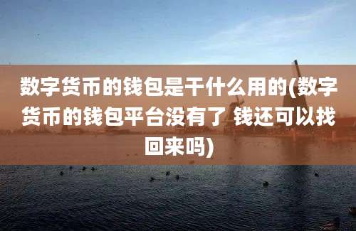 数字货币的钱包是干什么用的(数字货币的钱包平台没有了 钱还可以找回来吗)